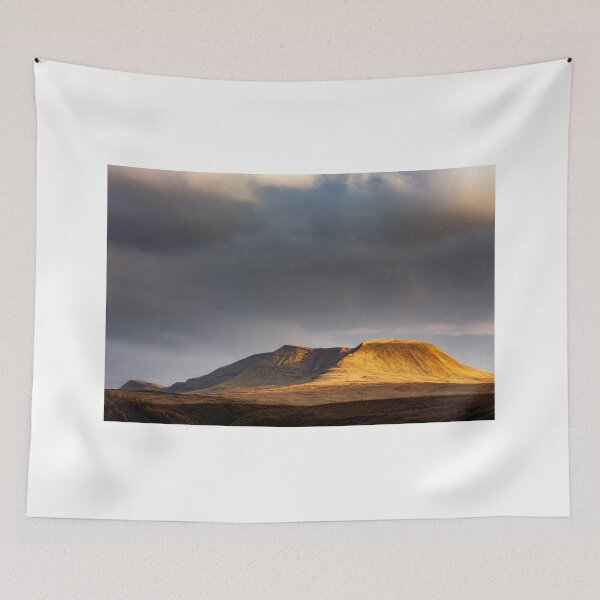 Item preview, Carmarthen Fan designed and sold by Dan Santillo.