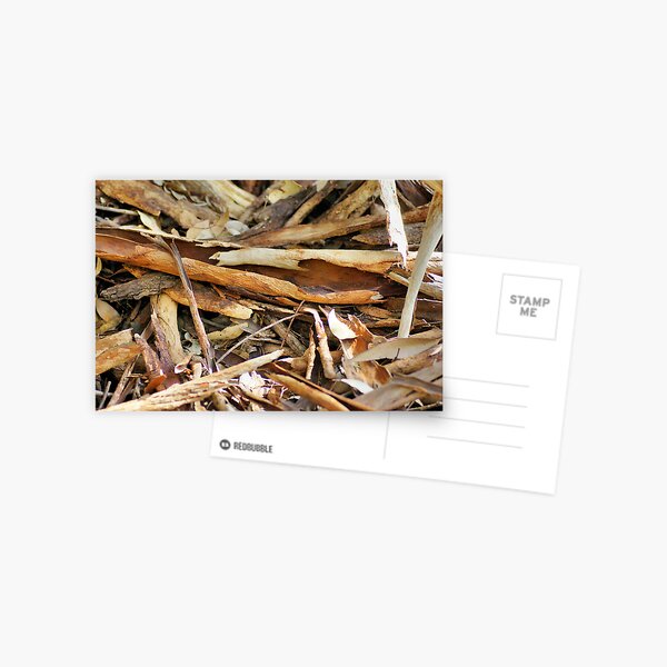 Item preview, Bark, Glorious Bark designed and sold by Robyn Forbes.
