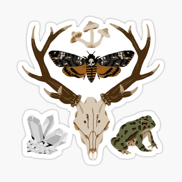 Cabinet of Curiosities Sticker