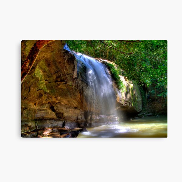 Serenity Falls - Buderim QLD Canvas Print