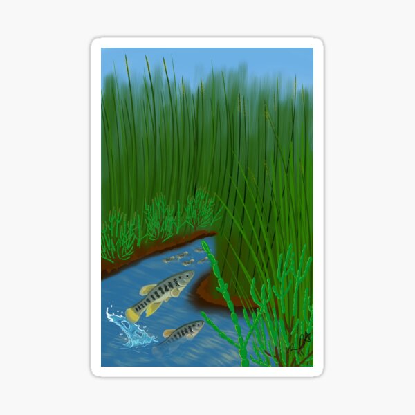 Item preview, Killifish in marsh designed and sold by dahoodscientist.