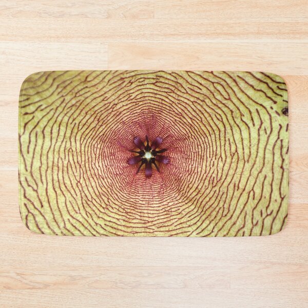 Item preview, Star fish, Stapelia gigantea, South Africa designed and sold by Schoensl.