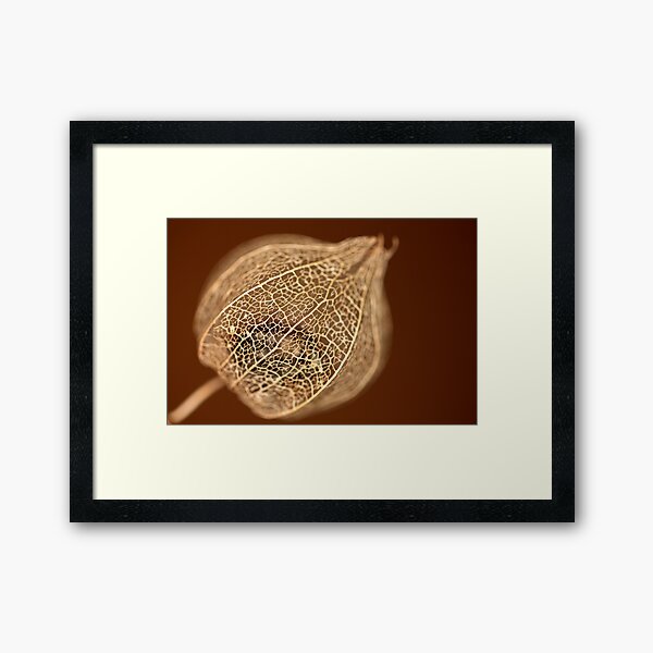precious secret Framed Art Print