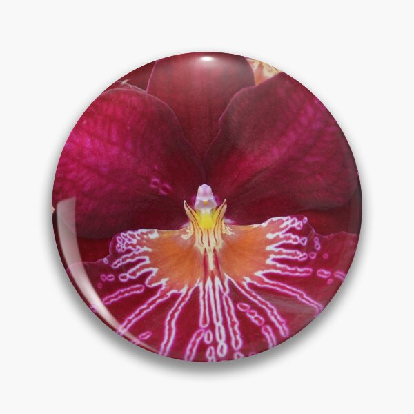 Item preview, Miltonia Miltoniopsis Orchid designed and sold by Schoensl.