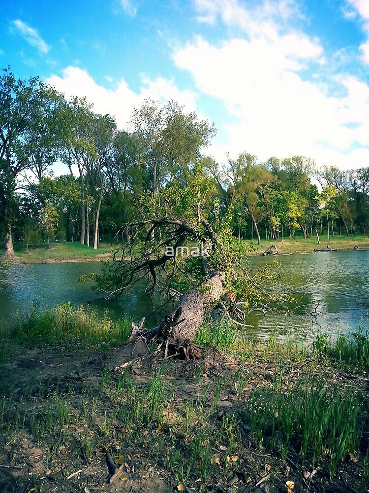 Park by amak