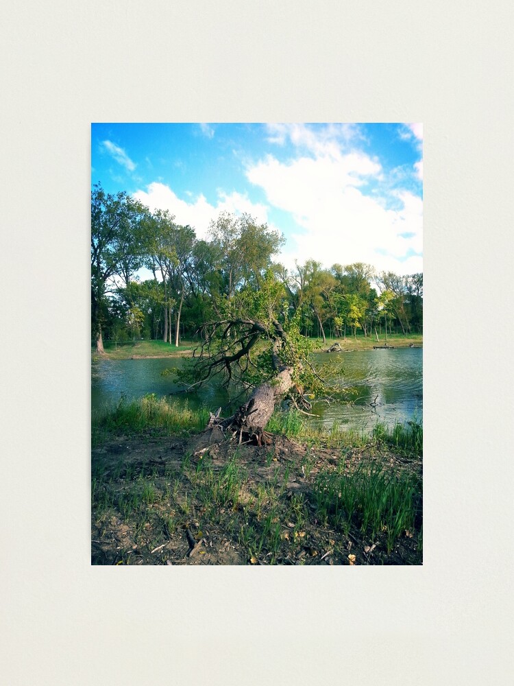 Alternate view of Park Photographic Print