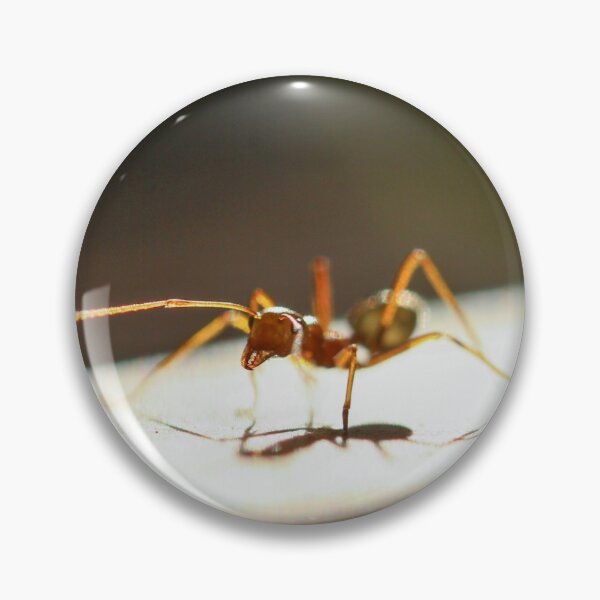 Item preview, Green ant at sunset designed and sold by AnnaKT.