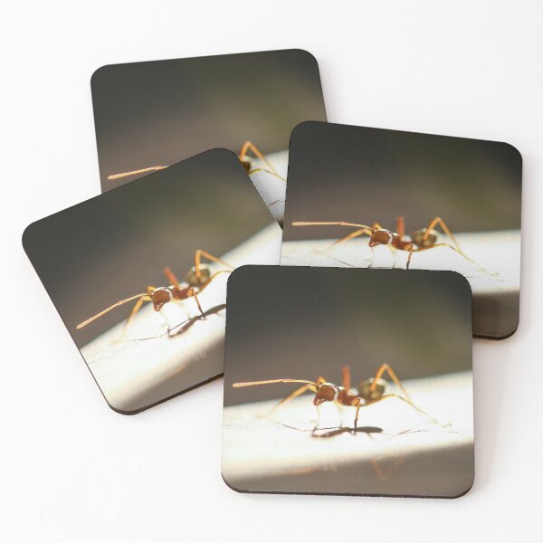 Item preview, Green ant at sunset designed and sold by AnnaKT.