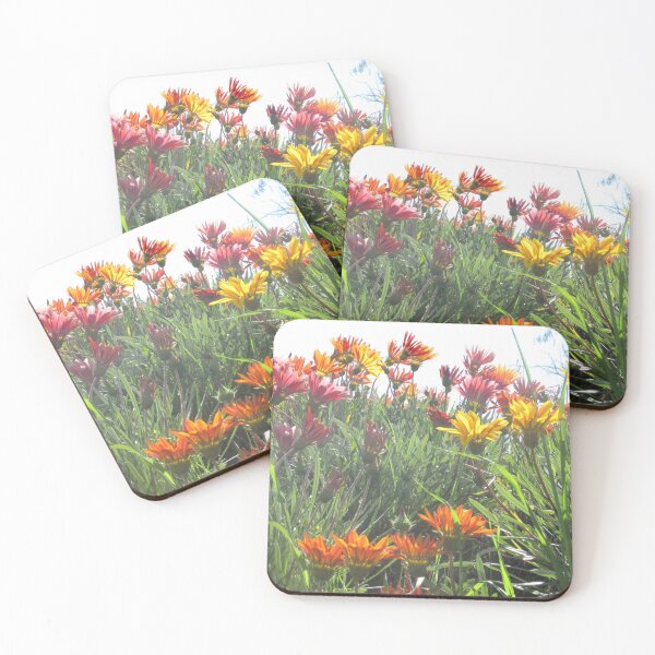 Item preview,  Gazania field designed and sold by Dee121.