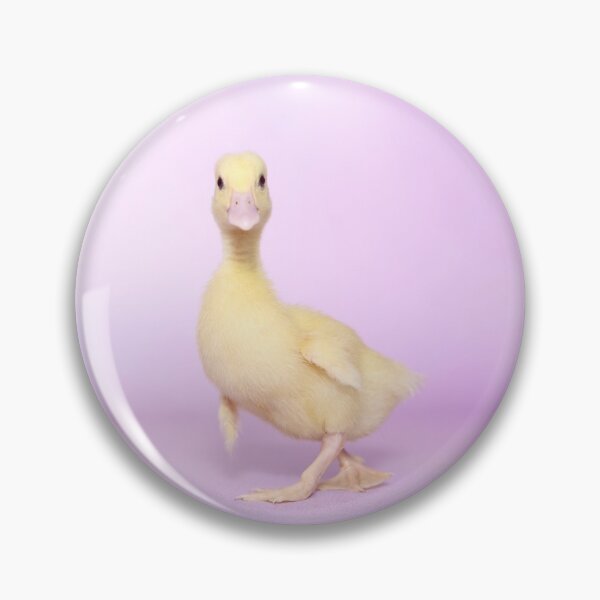 Item preview, cute duckling designed and sold by JeanettesPets.