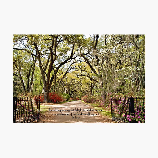 Item preview, St. Francisville 381 designed and sold by Bonnie T.  Barry.
