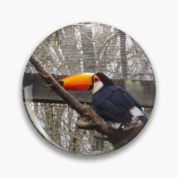 Item preview, Chilled Out Toucan designed and sold by CrystalsArtPaws.