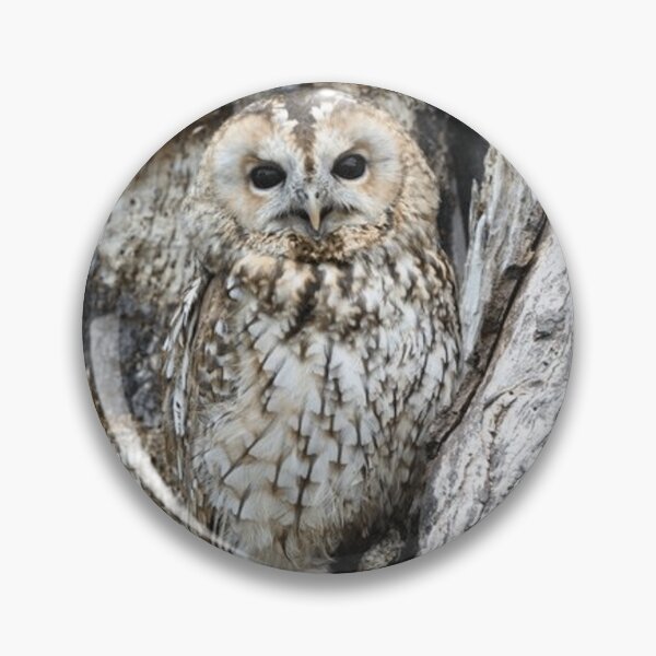 Item preview, Owl designed and sold by dplachkinova.