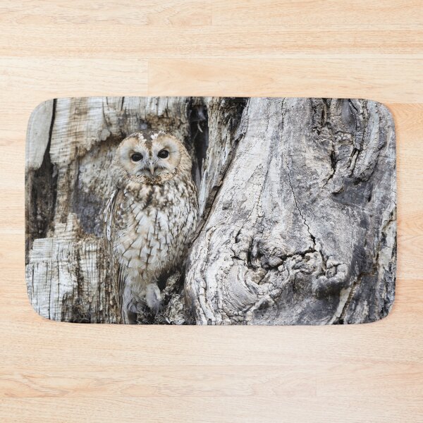 Item preview, Owl designed and sold by dplachkinova.