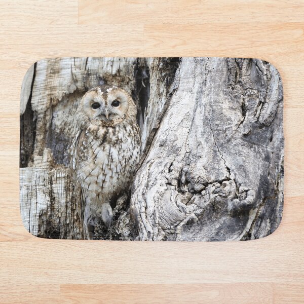 Owl Bath Mat