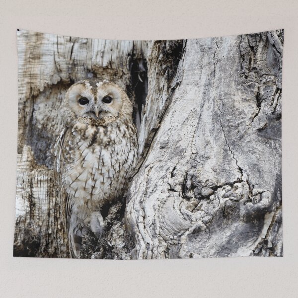 Item preview, Owl designed and sold by dplachkinova.