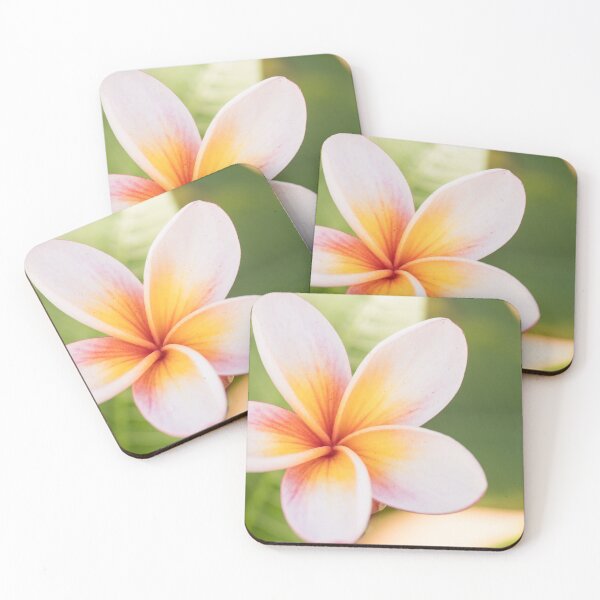 Item preview, frangipani designed and sold by Gnangarra.