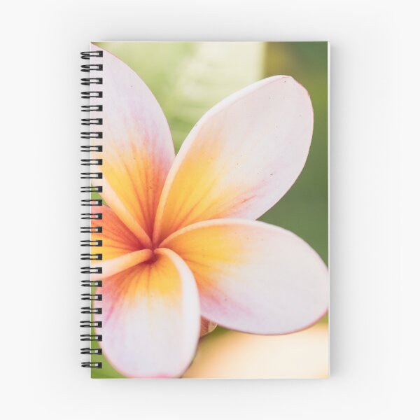 Item preview, frangipani designed and sold by Gnangarra.