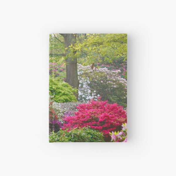 Azaleas and Rhododendrons in the Isabella Plantation. Hardcover Journal