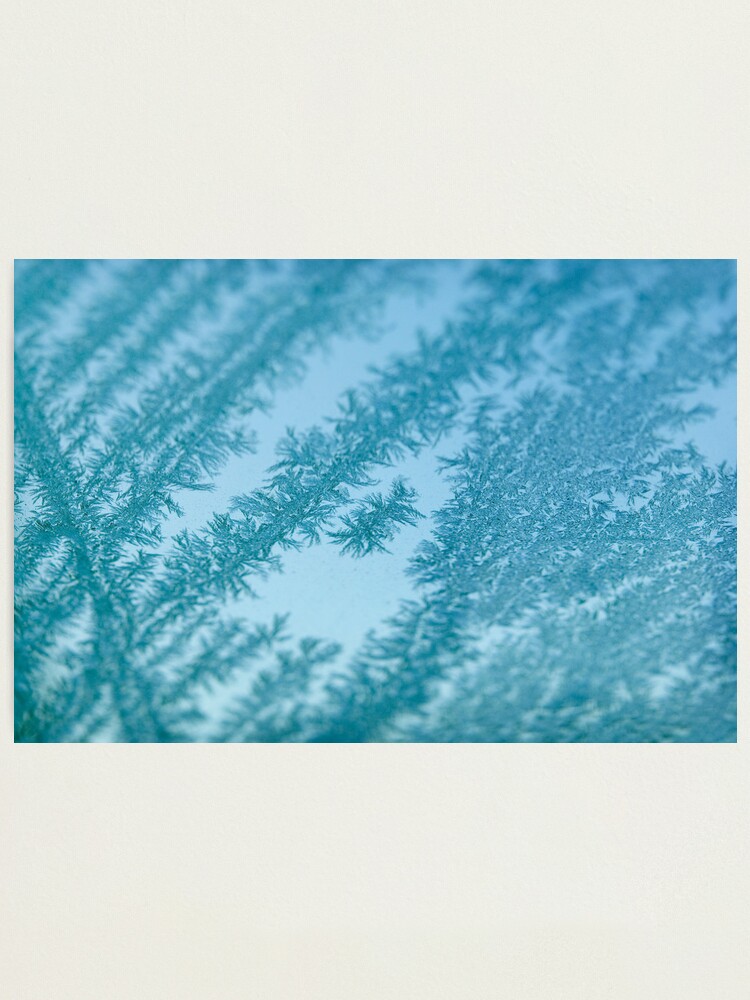 Alternate view of Day 208 - 3rd February 2012 Photographic Print