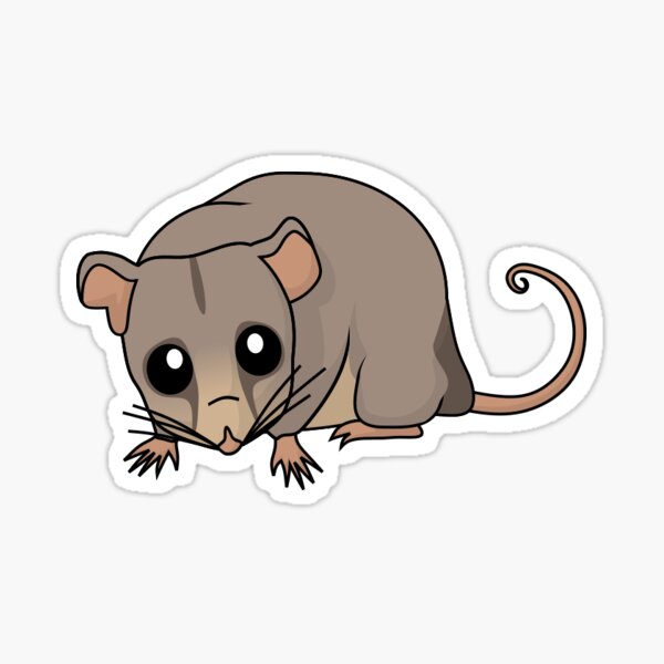Item preview, Mountain Pygmy Possum designed and sold by Daniel Terrington.