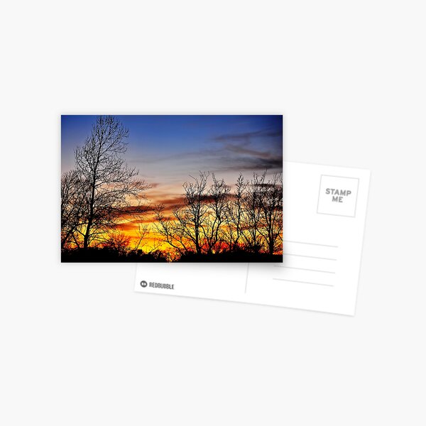 A Minute till Dusk Postcard