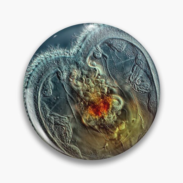 Item preview, Photography  designed and sold by Hana Chovanova.