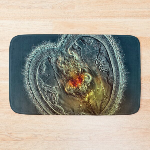 Item preview, Photography  designed and sold by Hana Chovanova.