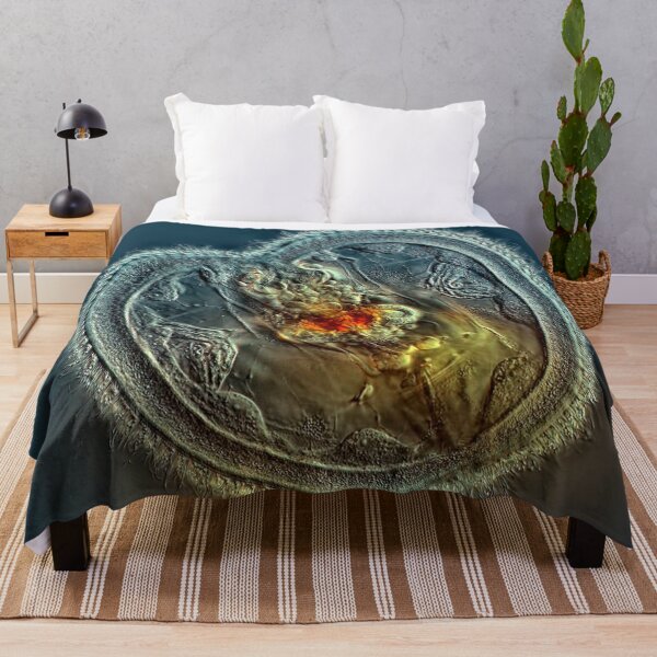Item preview, Photography designed and sold by Hana Chovanova.