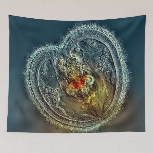 Item preview, Photography  designed and sold by Hana Chovanova.