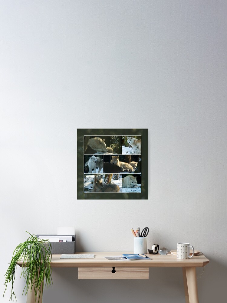 Thumbnail 2 of 3, Poster, A day with the wolves - collage designed and sold by steppeland.