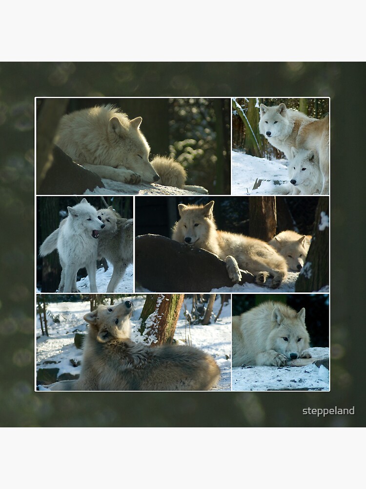 Thumbnail 2 of 2, Greeting Card, A day with the wolves - collage designed and sold by steppeland.