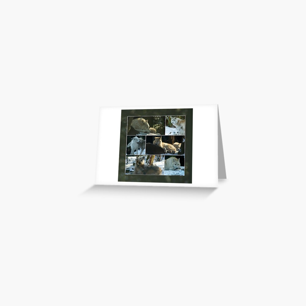 Item preview, Greeting Card designed and sold by steppeland.