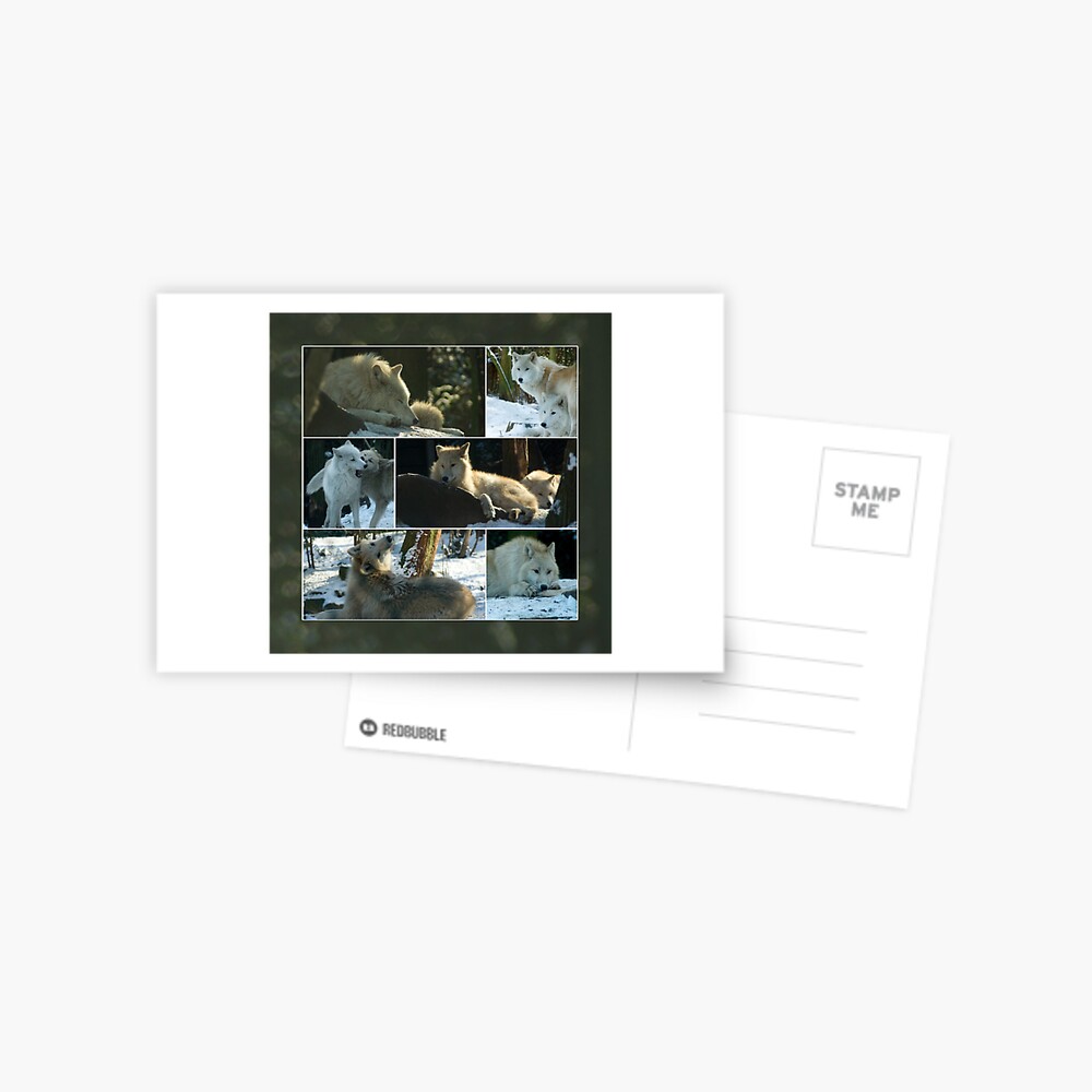 Item preview, Postcard designed and sold by steppeland.