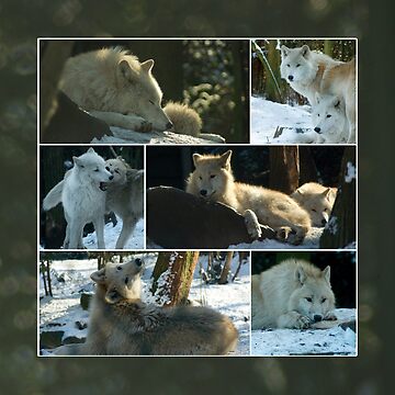 Artwork thumbnail, A day with the wolves - collage by steppeland