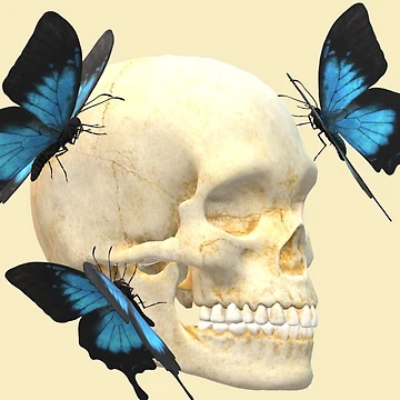 Artwork thumbnail, BUTTERFLY EFFECT by RokSIMPSON