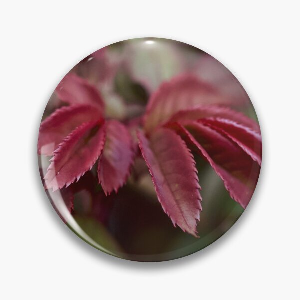 Item preview, The Leaves Before the Rose designed and sold by Sherry Hallemeier.