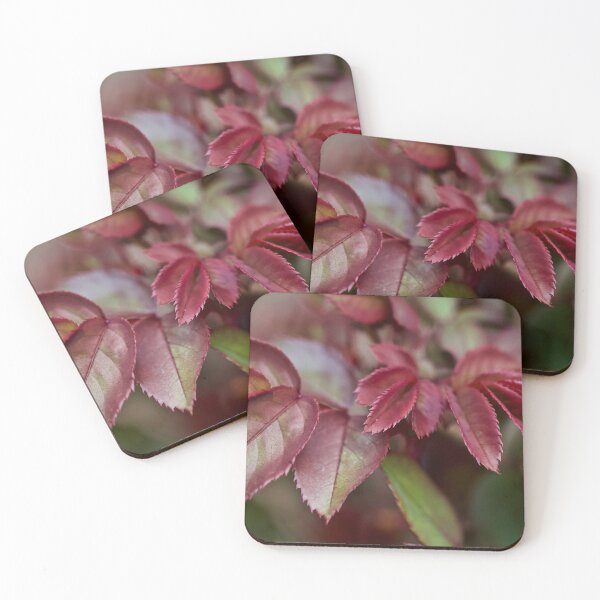 Item preview, The Leaves Before the Rose designed and sold by Sherry Hallemeier.