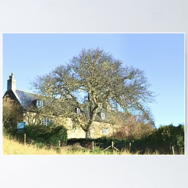 Item preview, Abbey House Tearooms At Abbotsbury Dorset designed and sold by lynn carter.