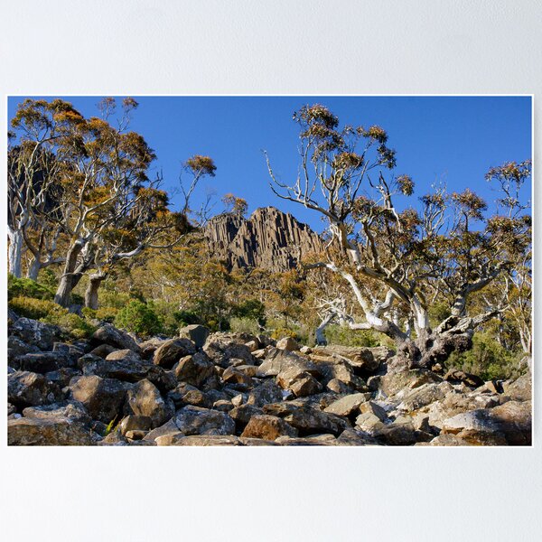 Item preview, Ben Lomond Cliffs designed and sold by Harry Oldmeadow.