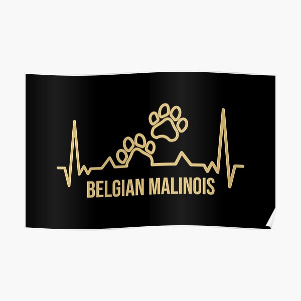 Belgian Malinois Dog Paw Prints Poster