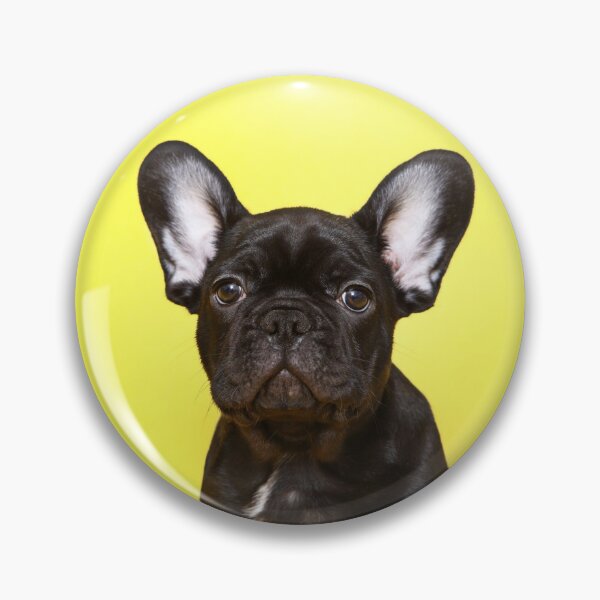 Item preview, French bulldog puppy designed and sold by JeanettesPets.