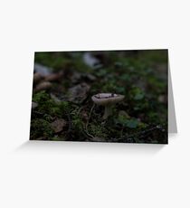 Shroom Shroom Greeting Card