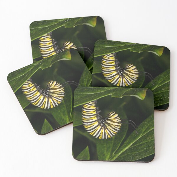 Item preview, Monarch Caterpillar 4 designed and sold by Robert Alsop.