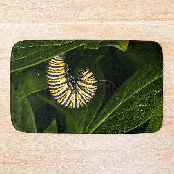 Item preview, Monarch Caterpillar 4 designed and sold by Robert Alsop.