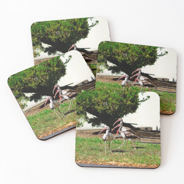 Item preview, Trio of Ibises Social Distancing from Others designed and sold by banditandkoko.