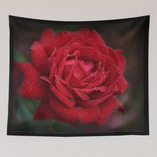 Item preview, Soft Red Rose designed and sold by Angela Adams.
