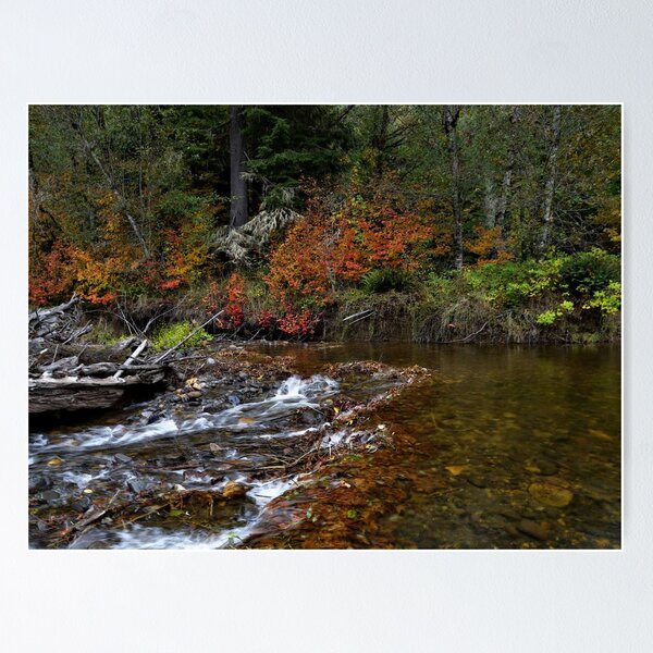 Item preview, Beaver Dam designed and sold by Charles & Patricia   Harkins ~ Picture Oregon.