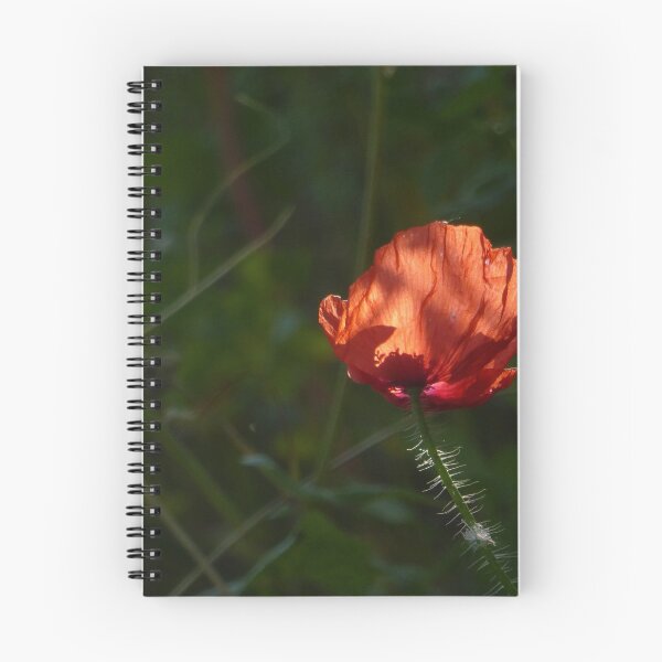Item preview, Untouched. designed and sold by Paul Pasco.