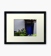 Tropical Calours And Plants - Colores Y Plantas Tropicales Framed Print